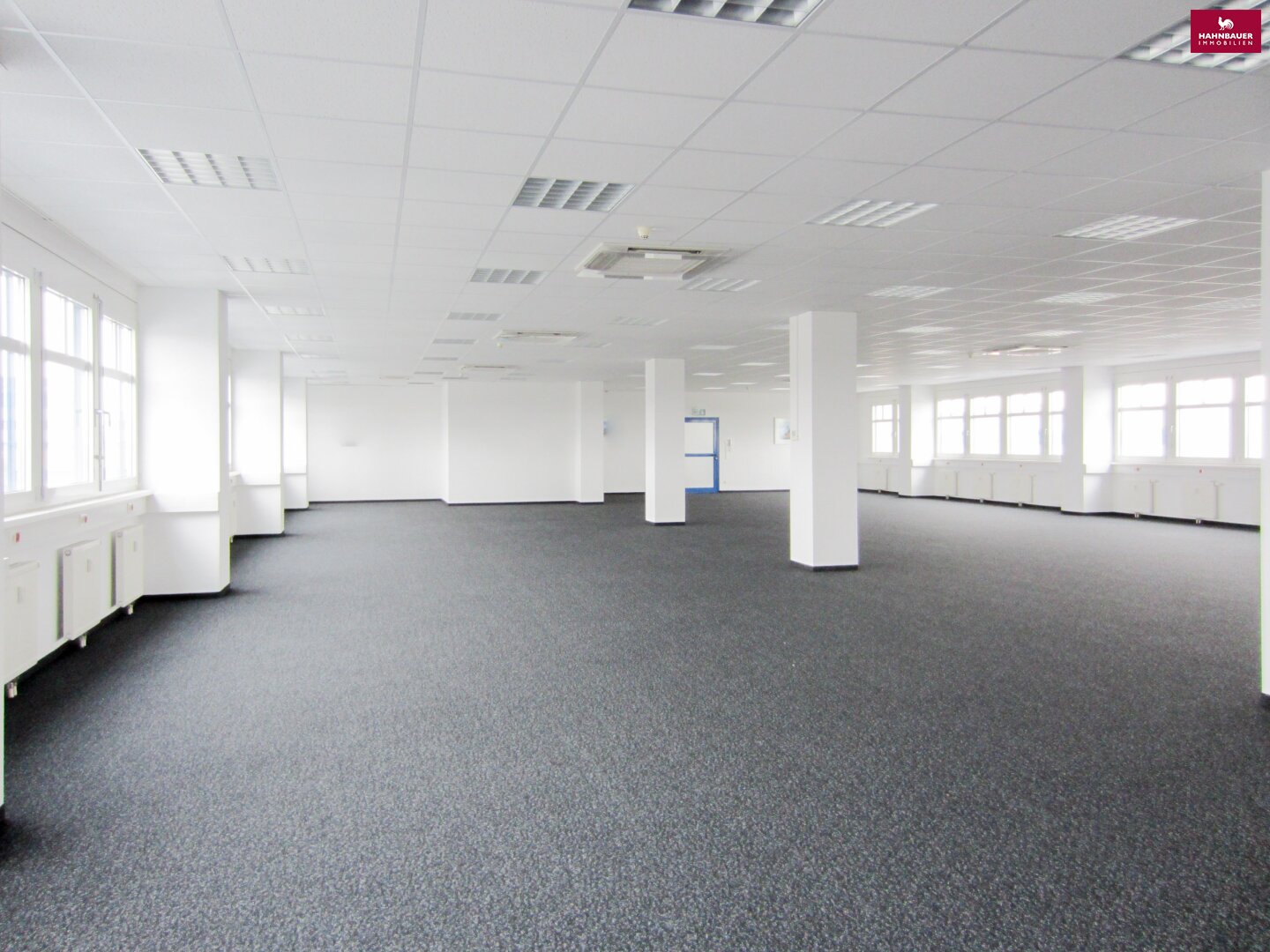 Büro-/Praxisfläche zur Miete 6.467 € 400 m² Bürofläche Wiener Neudorf 2351