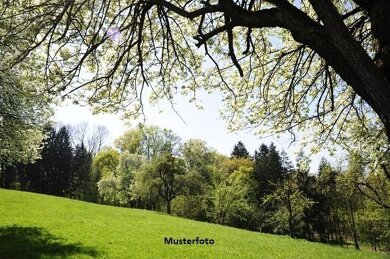 Land-/Forstwirtschaft zum Kauf 131.000 € 79.780 m² Grundstück Mahlberg Bad Münstereifel 53902