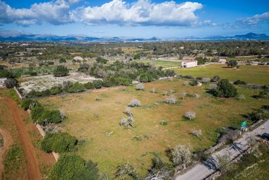 Grundstück zum Kauf 220.000 € 17.631 m² Grundstück Santa Margalida 07450