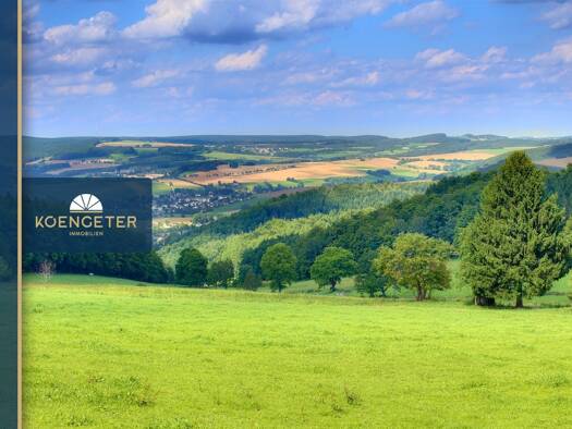 Grundstück zum Kauf 350.000 € 16.347 m² Grundstück Hausdorf Glashütte 01768