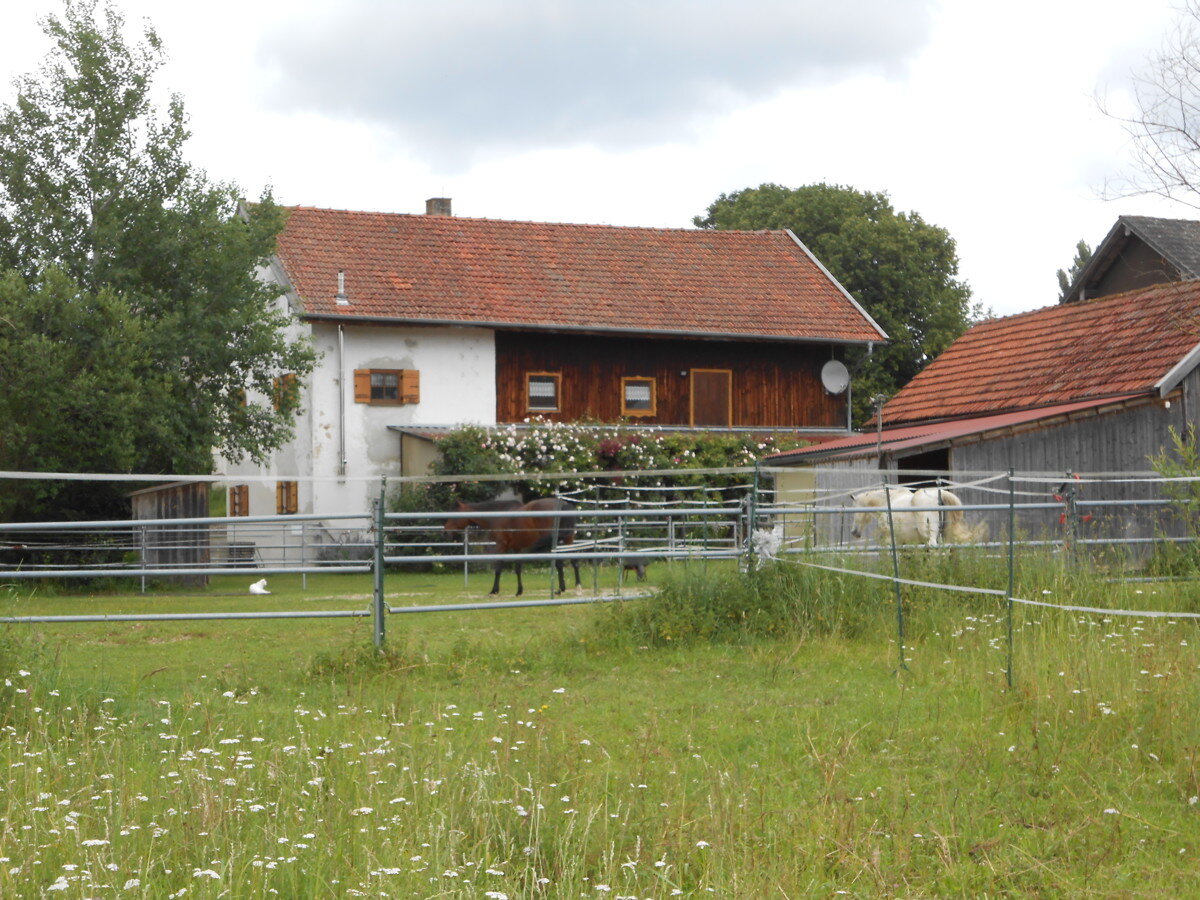 Bauernhaus zum Kauf 429.000 € 6 Zimmer 150 m²<br/>Wohnfläche 5.496 m²<br/>Grundstück Bachham Schönau 84337