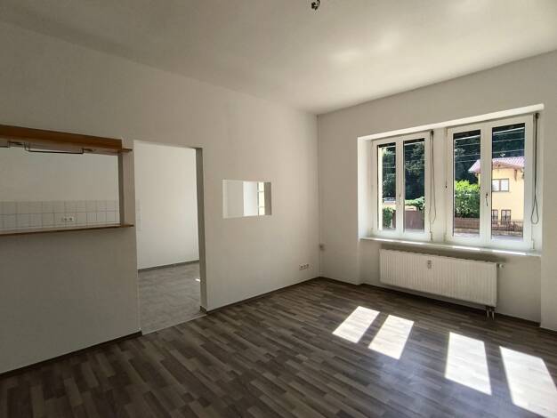 Wohnung zur Miete 471 € 2 Zimmer 56 m² EG frei ab sofort Bornaische Straße 145 Lößnig Leipzig 04279