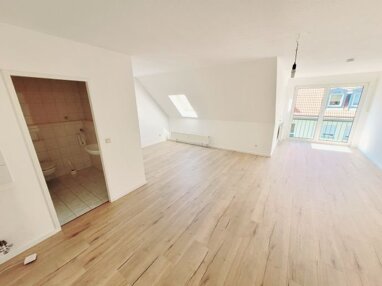 Wohnung zur Miete 270 € 1 Zimmer 38,9 m² 2. Geschoss Unteres Dorf 16a Röppisch Gera 07549