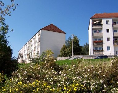 Wohnung zur Miete 341 € 3 Zimmer 62 m² 2. Geschoss Dr.-Hanns-Georgi-Weg 6 Sebnitz Sebnitz 01855