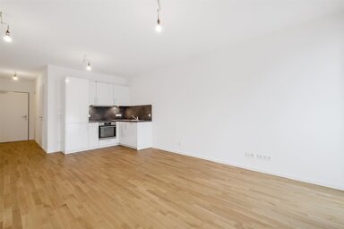 Wohnung zur Miete 650 € 1 Zimmer 38 m² 2. Geschoss Hafenstraße 19 Vorstadt Kiel 24103