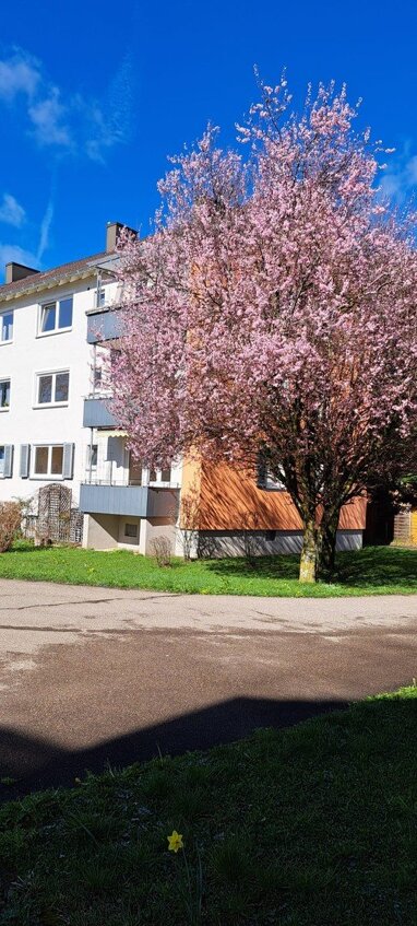 Wohnung zum Kauf Provisionsfrei 268.000 € 3 Zimmer 68 m² 1. Geschoss Auf dem Lindenberg - Süd Kempten 87437