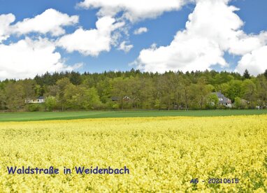 Grundstück zum Kauf Provisionsfrei 390.000 € 3.000 m² Grundstück Waldstraße 7 Weidenbach 56355