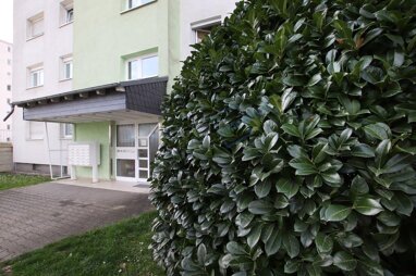 Wohnung zum Kauf 122.500 € 1 Zimmer 38,7 m² Hasengrund Rüsselsheim 65428