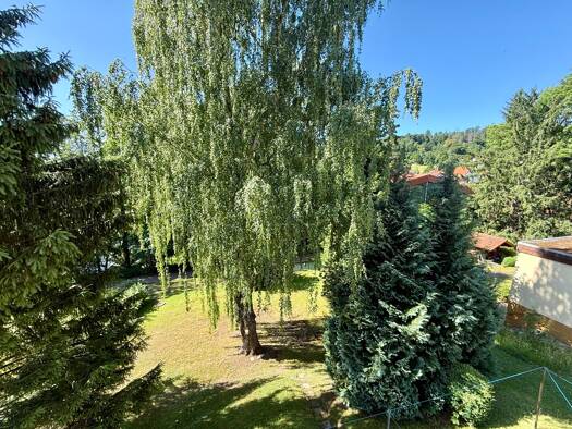 Wohnung zur Miete 420 € 3 Zimmer 70,3 m² Bad Sachsa Bad Sachsa 37441