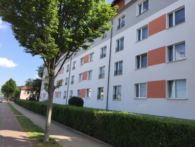 Wohnung zur Miete 410 € 2 Zimmer 54,6 m² Erdgeschoss Siegfried-Rädel-Straße 20 Heidenau 01809