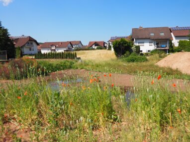 Grundstück zum Kauf 86.457 € 537 m² Grundstück Königshofen Bechhofen 66894