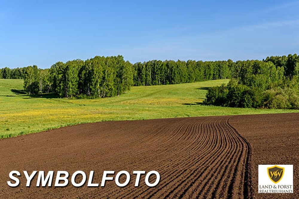 Landwirtschaftliche Fläche zum Kauf 40.000 m²<br/>Fläche Grabenhof Wels(Stadt) 4600