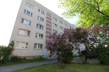 Wohnung zur Miete 354 € 2 Zimmer 50,5 m² 3. Geschoss Karl-Liebknecht-Straße 59 Sangerhausen Sangerhausen 06526