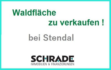 Land-/Forstwirtschaft zum Kauf 19.000 € 17.672 m² Grundstück Tornau Stendal 39576