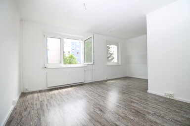 Wohnung zur Miete 223 € 1 Zimmer 32,6 m² 2. Geschoss Binzer Straße 8 Lausen-Grünau Leipzig 04207