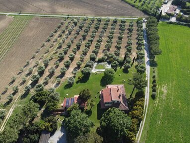 Bauernhaus zum Kauf 20 Zimmer 600 m² 70.000 m² Grundstück frei ab sofort Massa Marittima