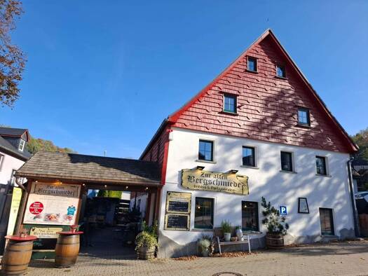 Einfamilienhaus zum Kauf 319.000 € 5 Zimmer 120 m² 503 m² Grundstück Seiffen 09548