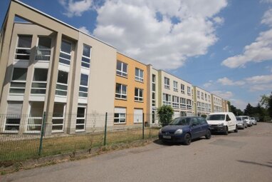 Wohnung zur Miete 160 € 1 Zimmer 20 m² Erdgeschoss frei ab sofort Feldstraße 7 Mittweida Mittweida 09648