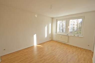 Wohnung zur Miete 260 € 2 Zimmer 39,9 m² 2. Geschoss Venusstr. 3 Ortslage Trotha Halle (Saale) 06118