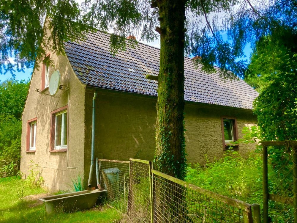 Einfamilienhaus zum Kauf 329.000 € 9 Zimmer 204,6 m²<br/>Wohnfläche 3.945 m²<br/>Grundstück Gribow Gribow 17506