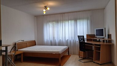 Apartment zur Miete 420 € 1 Zimmer 30 m² -1. Geschoss Wallstadt Mannheim 68259