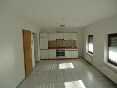 Apartment zur Miete 325 € 1 Zimmer 31 m² 1. Geschoss frei ab sofort Trierweiler Trierweiler 54311
