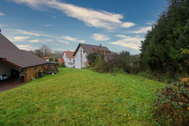 Grundstück zum Kauf Provisionsfrei 69.900 € 700 m² Grundstück Bergstraße 1 B Glashütte Schieder-Schwalenberg 32816