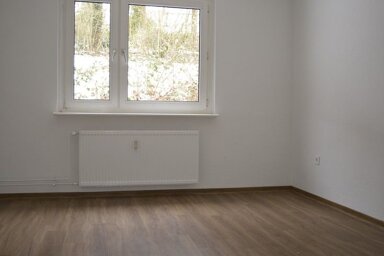 Wohnung zur Miete 348,36 € 2 Zimmer 48,1 m² frei ab 08.11.2024 Alsenstraße 17 Innenstadt / Staberg / Knapp Lüdenscheid 58511