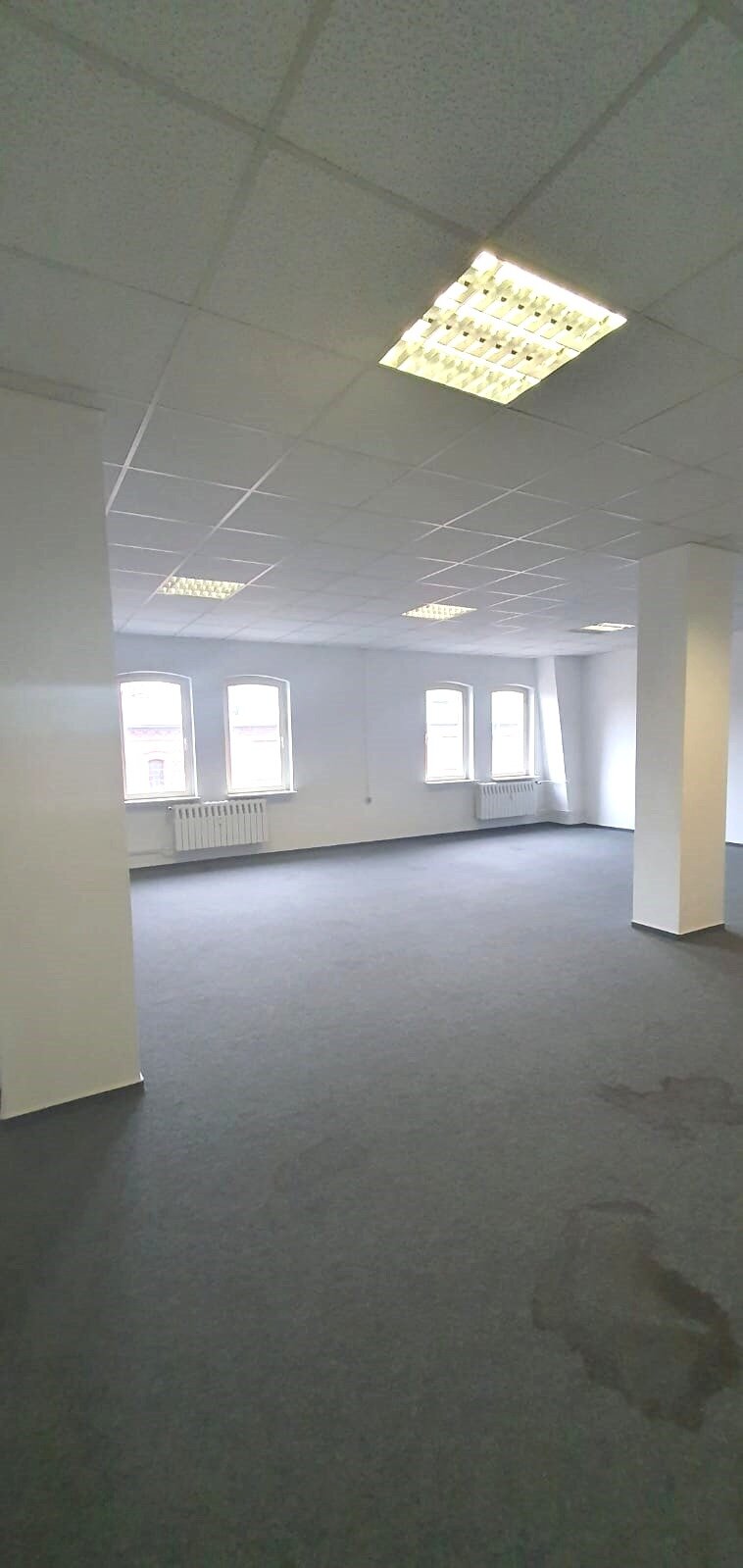 Büro-/Praxisfläche zur Miete Provisionsfrei 6 € 220 m²<br/>Bürofläche Mittagstr. . Gröperstraße / Nachtweide Magdeburg 39124