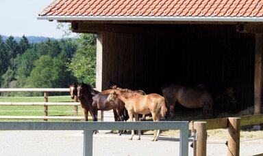 Reiterhof zum Kauf 7.500.000 € 120.000 m² Grundstück Agatharied Hausham 83734