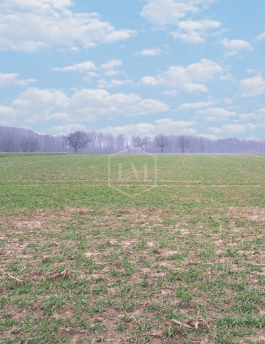 Landwirtschaftliche Fläche zum Kauf 33.000 € 3.113 m² Grundstück Höngen Selfkant 52538