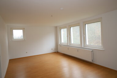 Wohnung zur Miete 220 € 1 Zimmer 37 m² 2. Geschoss Röllinghausen Alfeld (Leine) 31061
