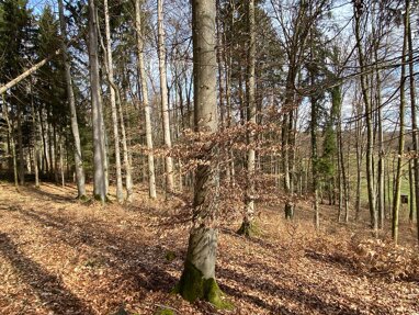 Land-/Forstwirtschaft zum Kauf 14.307 € 4.769 m² Grundstück Hagau Wolferstadt 86709