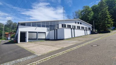 Produktionshalle zum Kauf provisionsfrei 650.000 € 2.000 m² Lagerfläche Hohlstr.: 4-6 Bruchweiler-Bärenbach 76891