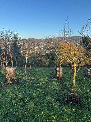 Land-/Forstwirtschaft zum Kauf 699 m² Grundstück Tüllingen Lörrach 79539