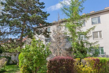 Wohnung zum Kauf 199.000 € 5 Zimmer 124 m² 2. Geschoss Biedermannsdorf 2362