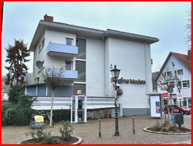 Mehrfamilienhaus zum Kauf 649.000 € 8 Zimmer 212,8 m² 284 m² Grundstück Waldshut Waldshut-Tiengen 79761