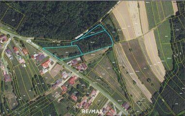 Grundstück zum Kauf 98.000 € 9.500 m² Grundstück Oberdorf im Burgenland 7501
