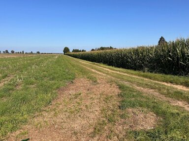 Landwirtschaftliche Fläche zum Kauf 33.169 m² 33.169 m² Grundstück Euskirchen Euskirchen 53879