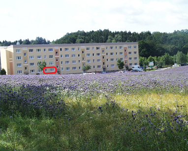 Wohnung zur Miete 360 € 3 Zimmer 60 m² 1. Geschoss frei ab sofort An der Gärtnerei 73 a Warmbad Wolkenstein 09429