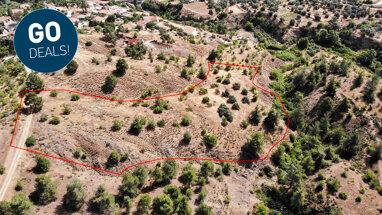 Land-/Forstwirtschaft zum Kauf 106.000 € 11.037 m² Grundstück Nicosia