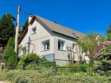 Einfamilienhaus zum Kauf 89.000 € 6 Zimmer 80 m² 754 m² Grundstück Rempesgrün Auerbach 08209