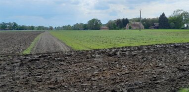 Land-/Forstwirtschaft zum Kauf 5 € 23.254 m² Grundstück Kleinendorf Rahden-Kleinendorf 32369