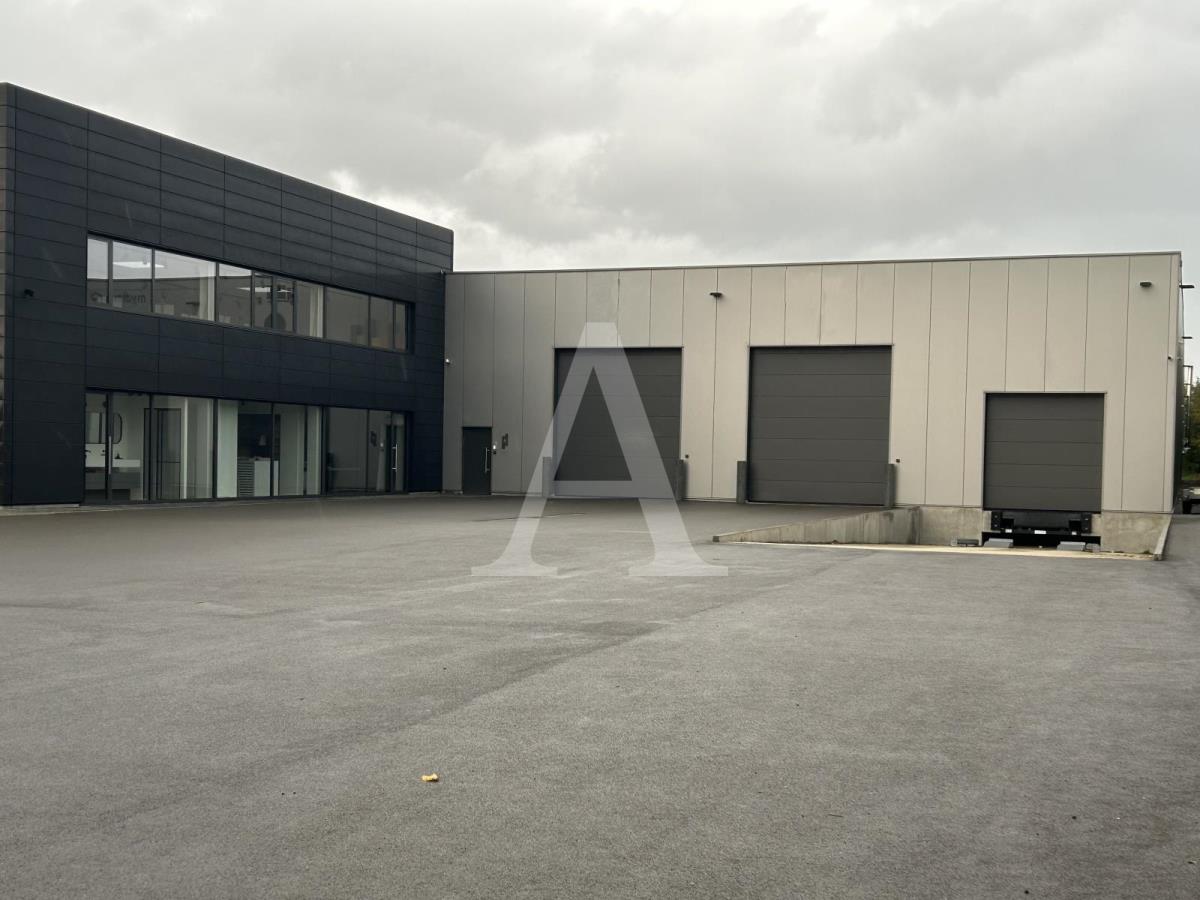 Halle/Industriefläche zur Miete provisionsfrei 9,30 € 969 m²<br/>Lagerfläche ab 969 m²<br/>Teilbarkeit Vogelsang Neuss 41462