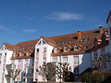 Immobilie zum Kauf 885.000 € 9 Zimmer 254 m² 7.964 m² Grundstück Pingsdorf Brühl 50321