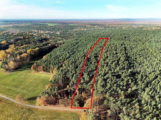 Grundstück zur Versteigerung 8.000 € 15.615 m² Grundstück Nesthakenweg Gottschdorf Neukirch 01936