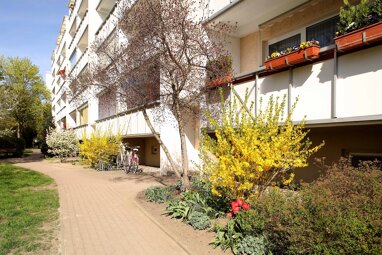 Wohnung zur Miete 348 € 3 Zimmer 62,9 m² 5. Geschoss Koszaliner Str. 23 Stadtgebiet Ost Neubrandenburg 17036