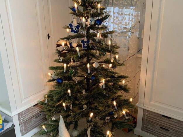 Wohnung zur Miete 1.180 € 4 Zimmer 115 m² EG Bammental 69245