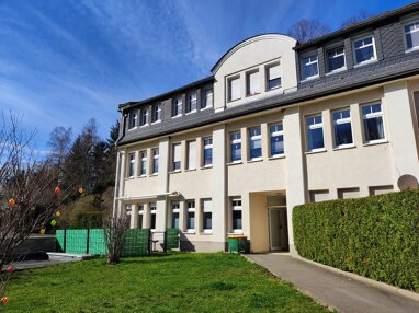 Wohnung zum Kauf 40.000 € 1 Zimmer 45,9 m² 1. Geschoss Waldkirchen Grünhainichen 09579