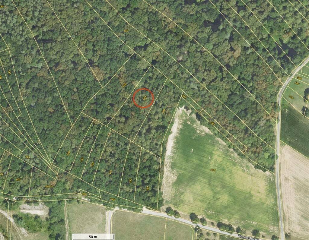 Grundstück - Waldfläche in Hitzigen-Schlatt zu verkaufen!